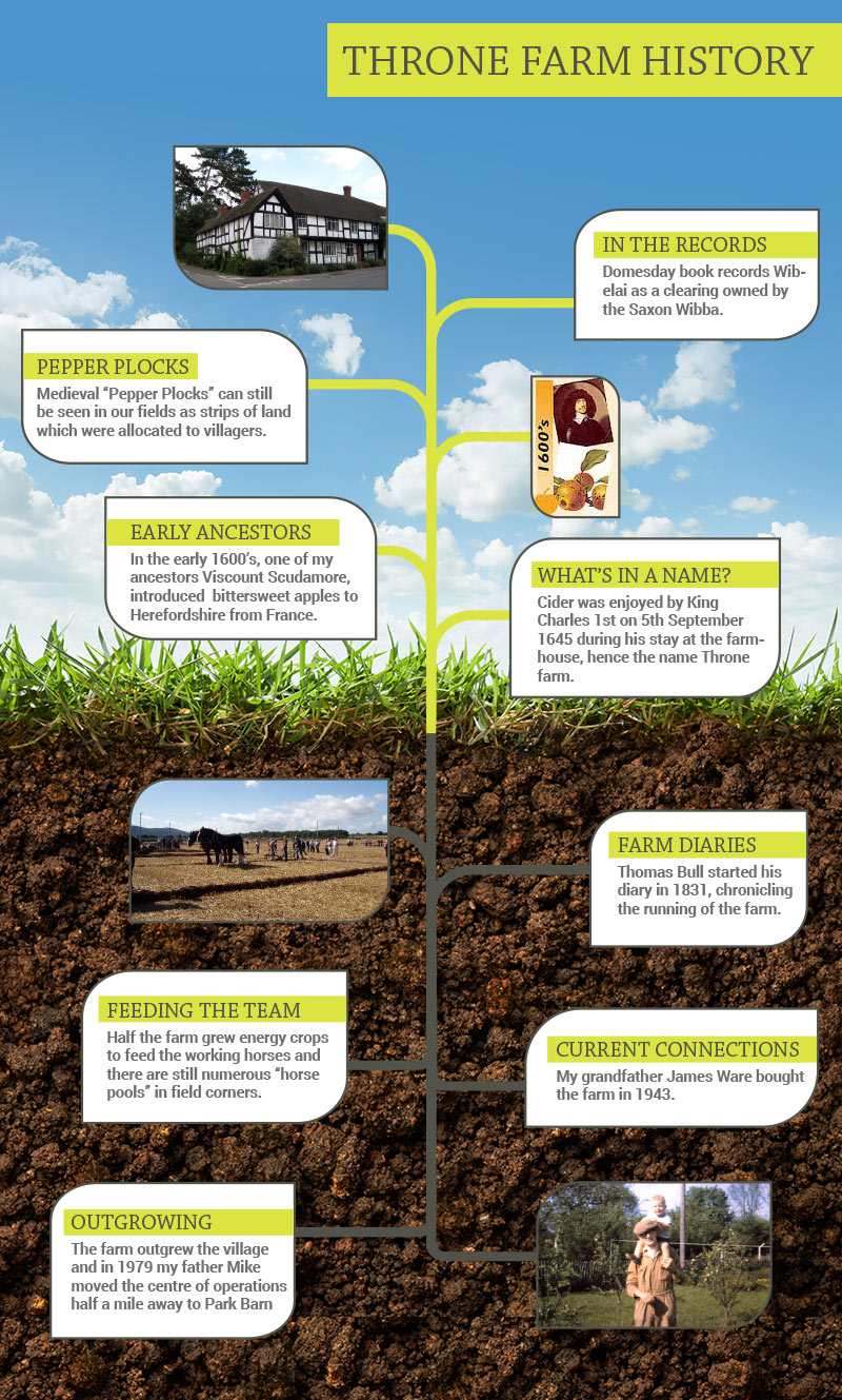 Throne Farm History Infographic