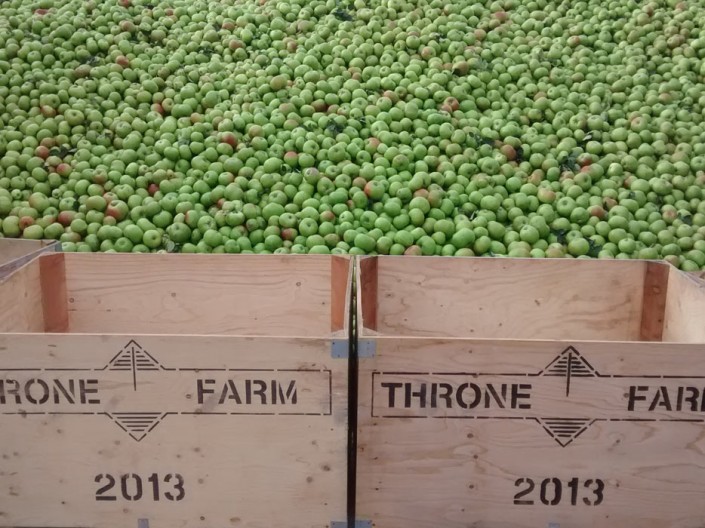 Throne Farm Apples