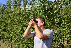 Refractometer analysis of fruit juice