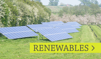 Renewables