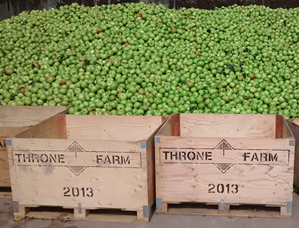 Throne Farm Apples