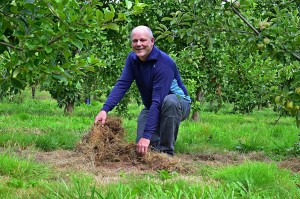 mulch to retain moisture, encourage soil biology and smother weeds