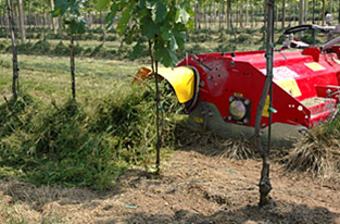 Mowing orchards whilst creating a mulch under the trees