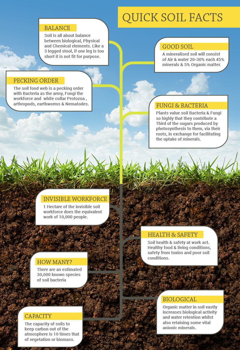 Soil Infographic